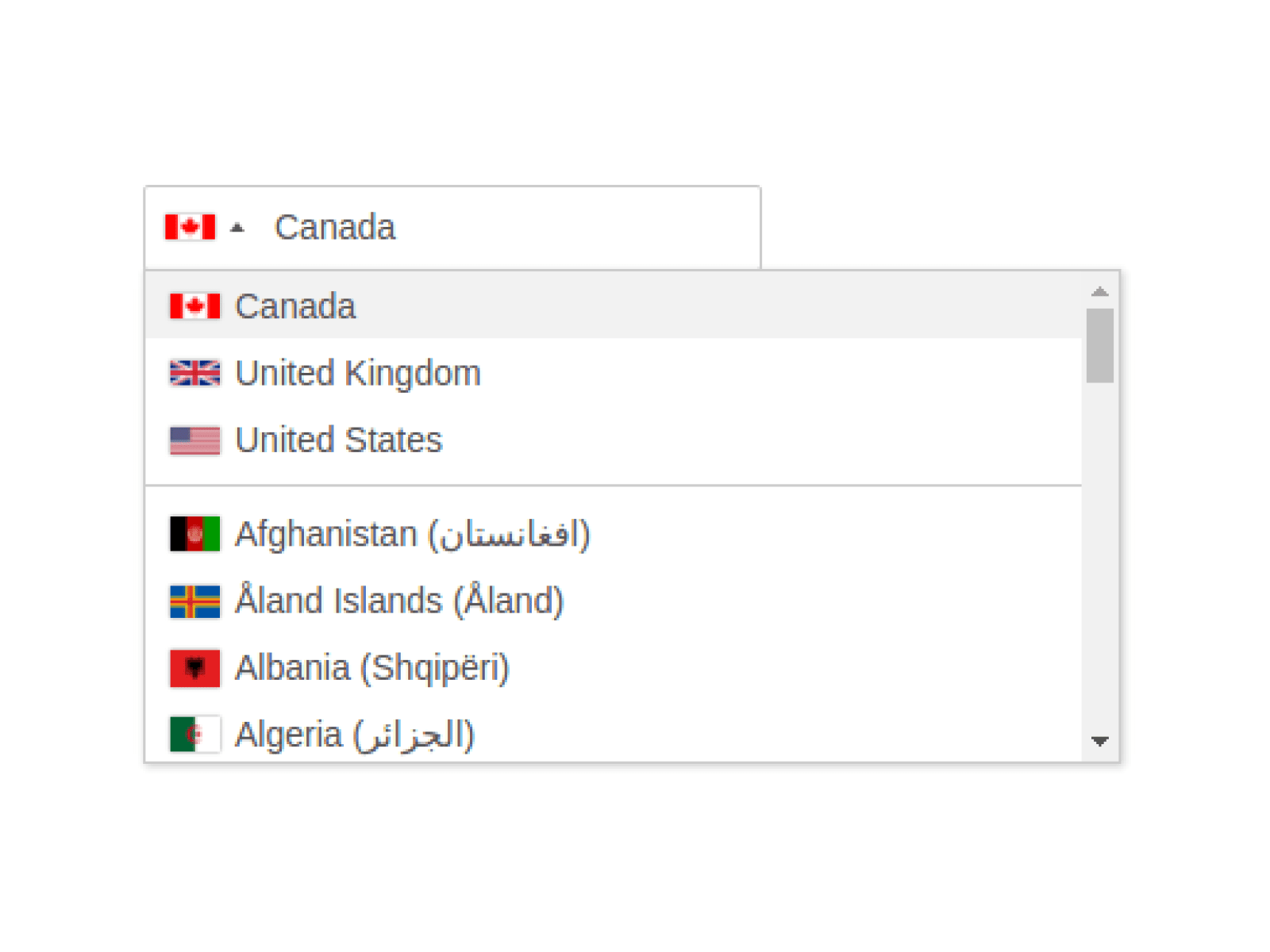 Country Selection Dropdown