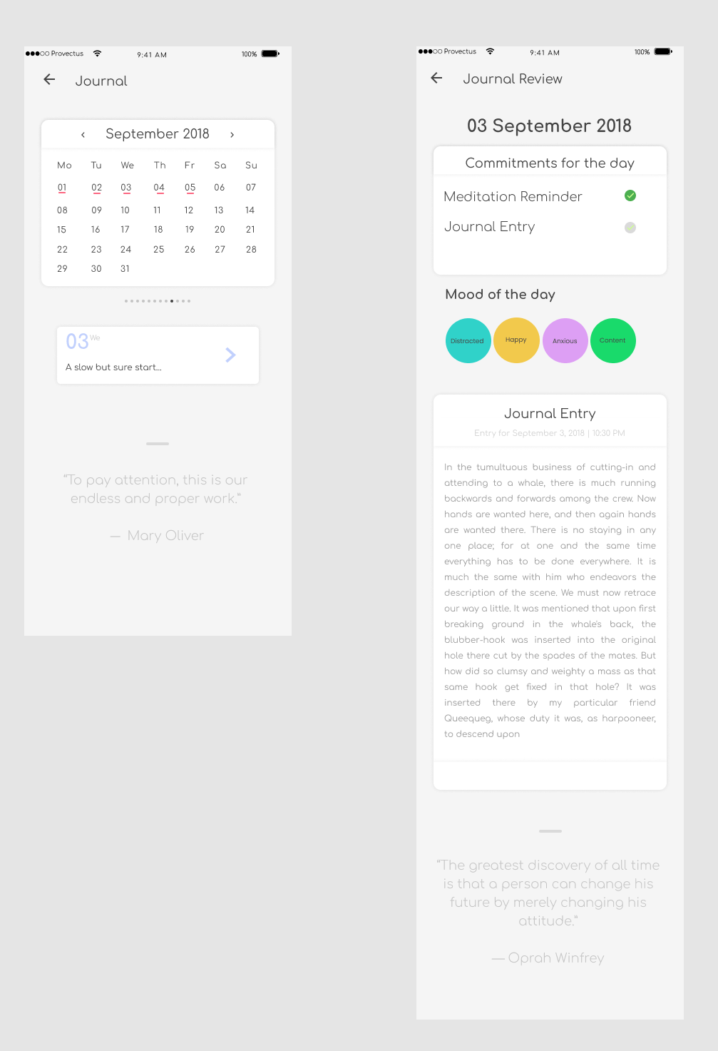 Journal Review Screen